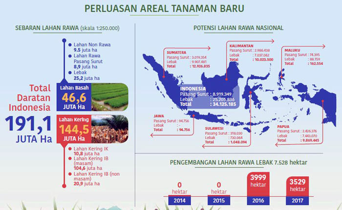 1 Juta Ha, Target Cetak Lahan Rawa dan Pasang Surut 2018 - 2022